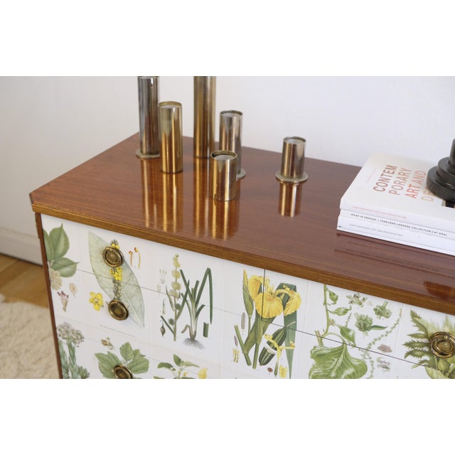 Mid-Century Modern Gustavian Chest attributed to Josef Frank from CAM Lindman Nordens Flora, Sweden, 1940s For Sale - Image 3 of 8