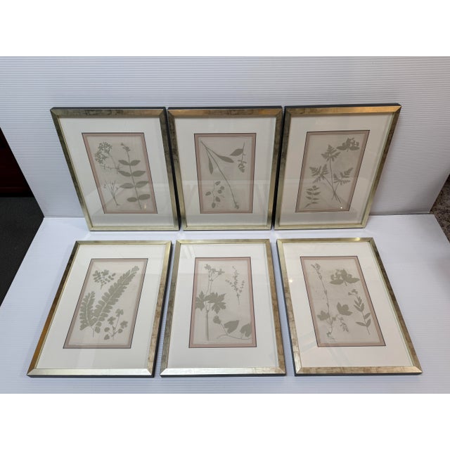 Design Plus Gallery presents the Complete Series of "Herberia in Celedon" from Soicher Marin. Soicher Marin is a respected...