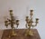 Antique Louis XV Candleholders in Gilt Bronze, Set of 2 For Sale - Image 6 of 18