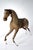 French Artist, Horse Sculpture, 1880, Horsehide For Sale - Image 10 of 16