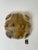 A beautiful vintage wall or ceiling light by kaiser leuchten, germany, circa 1970s. The fixture features a sculptural...