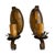 Circa 1920’s Pair of Polychrome Painted Botanical Wall Sconces For Sale In Los Angeles - Image 6 of 8