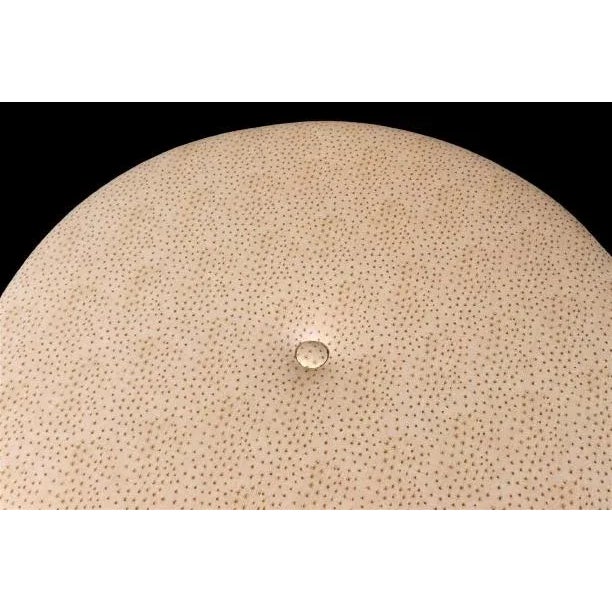 A round cream ostrich ottoman with a center tuft on a zebra wood base and feet