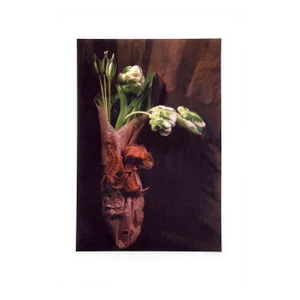 Tulipae Hortorum, Jonathan Singer, Print