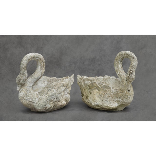 Large Pair of French Cast-Concrete Swan Planters, circa 1950s A striking pair of large French cast-concrete swan planters,...