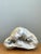 Gemstone Vintage White Quartz Geode For Sale - Image 7 of 12