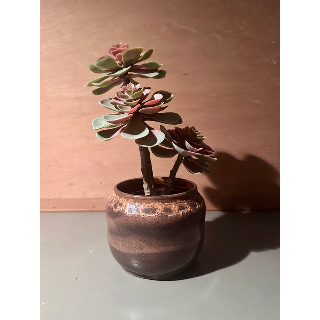 Hand-Thrown Ceramic Art Planter with Organic Line Rim Decoration by Helma Klett, Germany, 1970s For Sale - Image 12 of 15