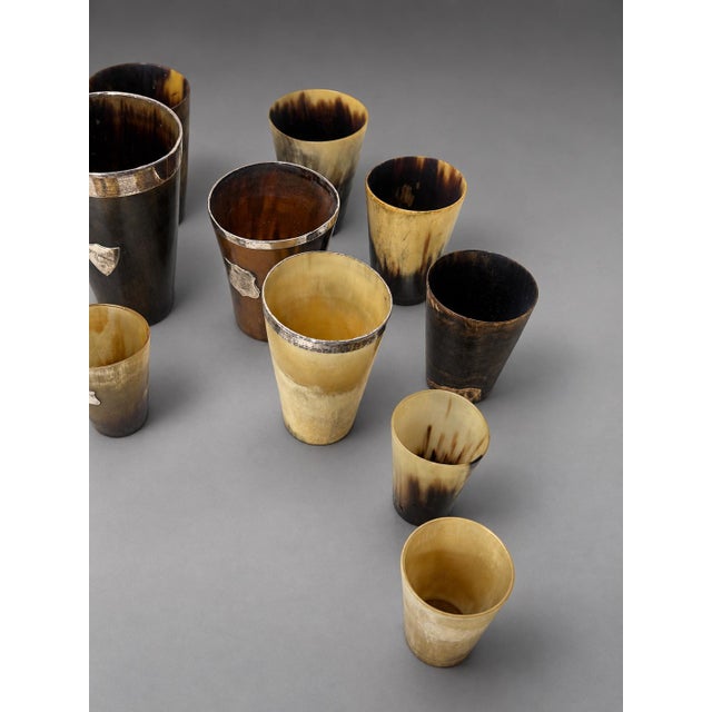 Silver Collection of 24 Antique British Horn Beakers, Including Silver-Mounted For Sale - Image 8 of 10