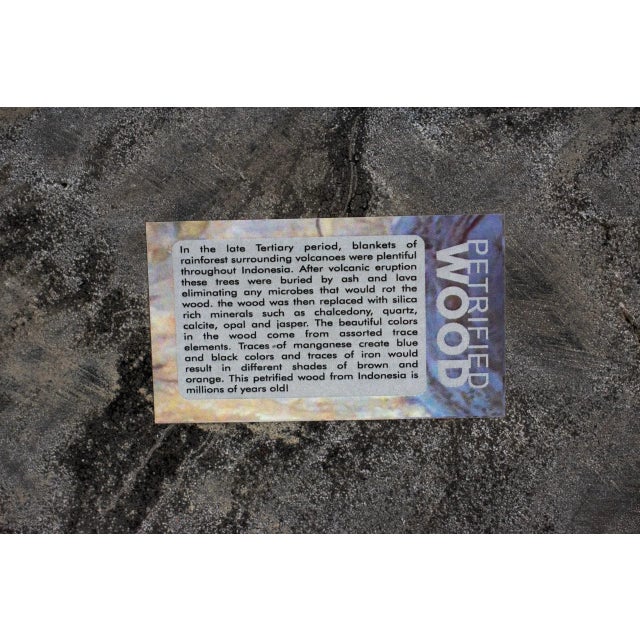 Petrified Carved & Polished Black Wood Bowl For Sale - Image 12 of 12