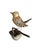 A folk-art bird from Austria — a hand-carved wooden wren — 4.75" x 4.25" x 2", vintage from the 1930s. Charming Alpine...