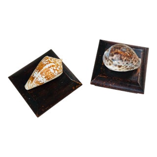 Small Shell Boxes, Set of 2 For Sale