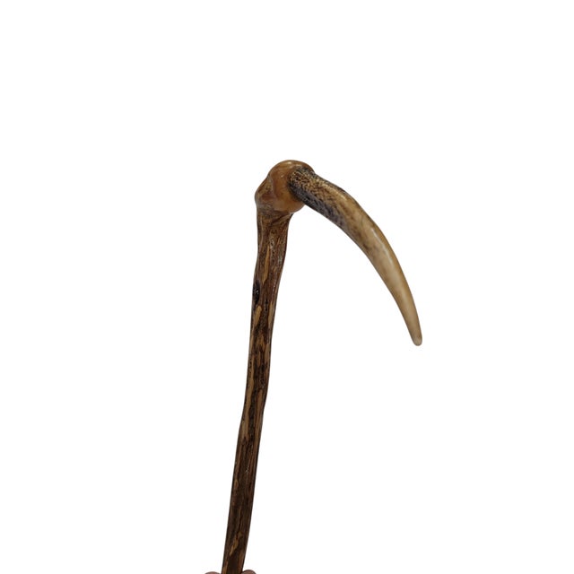 Ironwood Walking Stick For Sale - Image 9 of 12