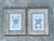 Late 20th Century Vintage John Richard Starfish Prints - Set of 2 For Sale - Image 5 of 12