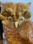 Mid-Century Modern Vintage 1980s Ceramic Pottery Large Owl Statue Decor For Sale - Image 3 of 7