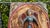 Art Deco Wooden Picture in Carved Bas-Relief with Guardian Angel, 1940s For Sale - Image 3 of 10