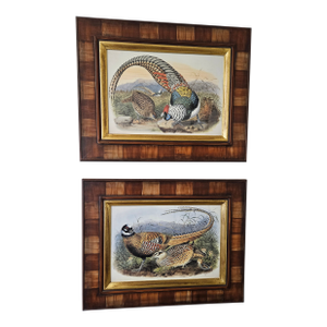 Beautifully Framed Prints of Game Birds - A Set of 2