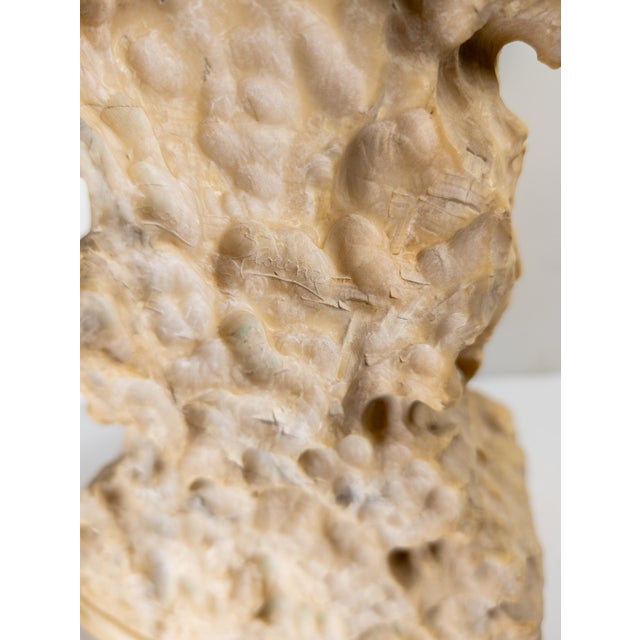 Early 20th Century Alabaster Sculpture of a Woman by Umberto Stiaccini, Florence For Sale - Image 14 of 18
