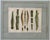Antique Austrian Museum Watercolor c.1900 Bronze Age Tools Scientific Art c.1900 For Sale - Image 4 of 13
