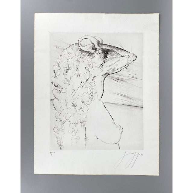 Günter Grass, The Other Damroka, 1985, Signed and Numbered Etching For Sale - Image 4 of 16