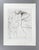 Günter Grass, The Other Damroka, 1985, Signed and Numbered Etching For Sale - Image 4 of 16