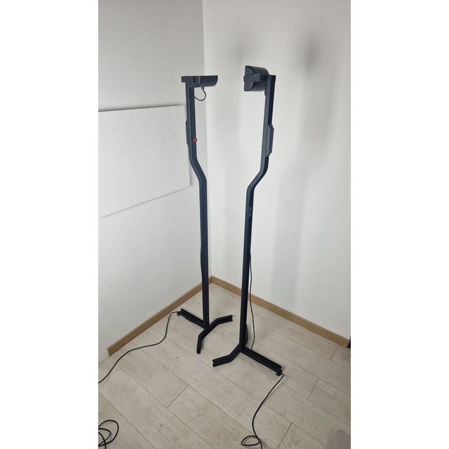 Sirio Model Floor Lamp in Black Lacquered Iron by Kazuide Takahama for Sirrah, 1970s For Sale - Image 15 of 15