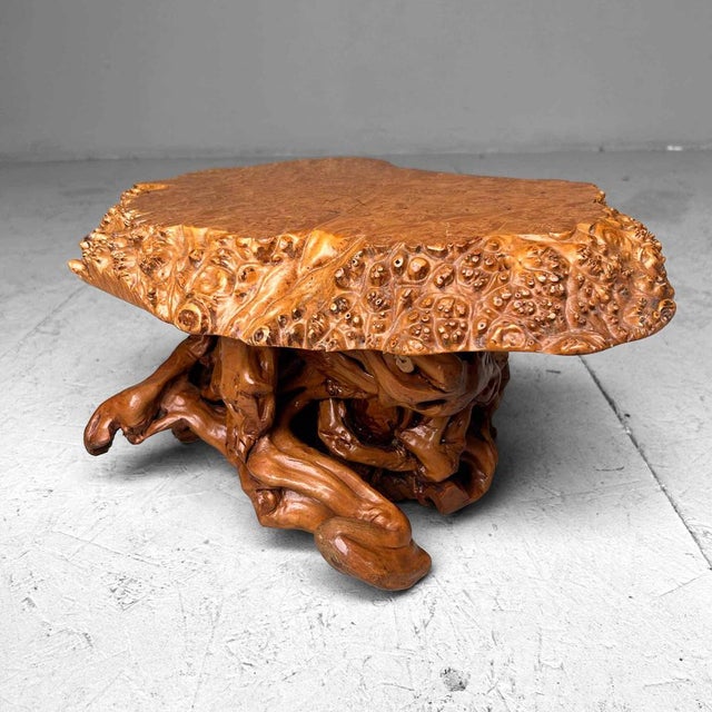 Mid-Century Yakusugi (Yakusugi) Burl Wood Plant Stand, Japan, 1940s For Sale - Image 11 of 14