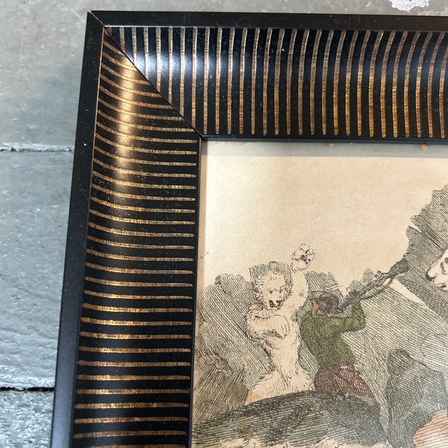 19th Century Original Polar Bear Colored Etching For Sale - Image 4 of 5