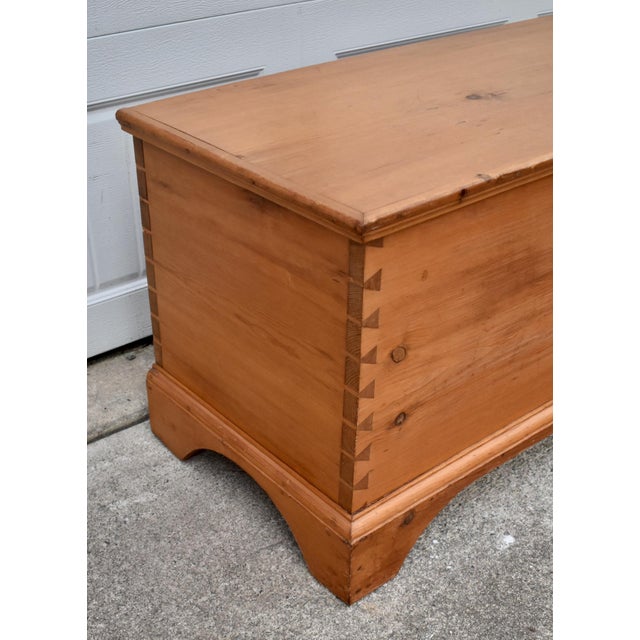 Vintage Doveatiled Pine Trunk Farmhouse Stye Blanket Chest Storage For Sale - Image 4 of 15