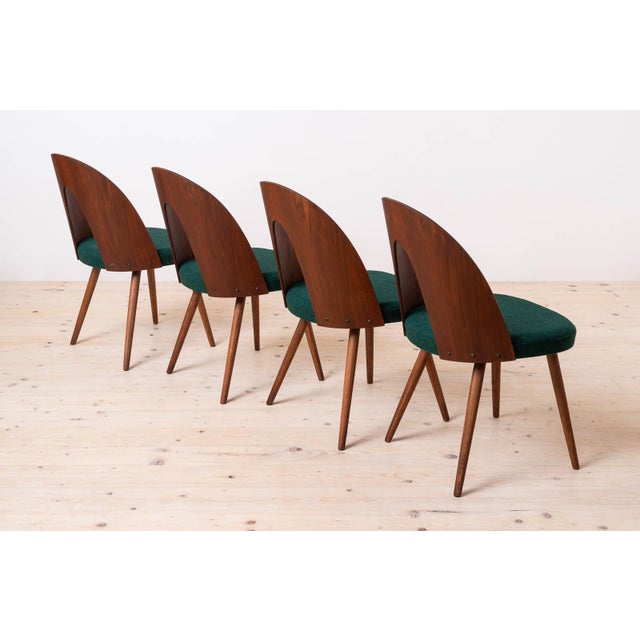 Mid-Century Modern Dining Chairs by Antonin Šuman, 1960s, Set of 8 For Sale - Image 4 of 18