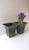 Metal Italian Greek-Key Planters Potholders Cachepots Jardinières, Pair For Sale - Image 7 of 15