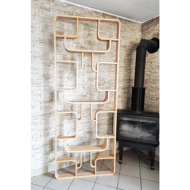 Mid-Century Czech Room Divider attributed to Ludvik Volak for Drevopodnik Holesov, 1960s For Sale - Image 13 of 13