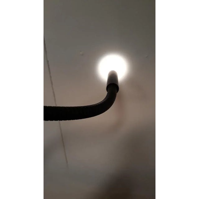 Model Zed Table Lamp by Tommaso Cimini for Lumina, 1980s For Sale - Image 4 of 18