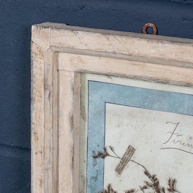 Wood Large Italian Oak Frame Containing Pressed Flowers and Herbs, 1980s For Sale - Image 7 of 18