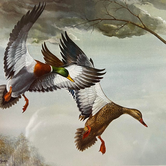 Ray Harm Signed Mallard Print With 1985 Kentucky Duck Stamp Framed For Sale - Image 4 of 12