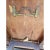 Antique 19th Century English Victorian Rosewood Tilt-Top Marquetry Coffee Table For Sale - Image 10 of 12