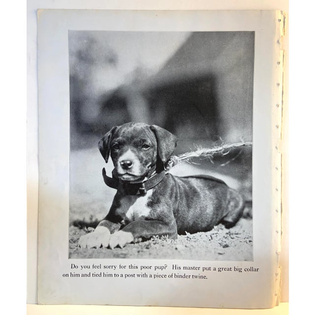 Shabby Chic 1933 Dog Book Illustration Puppy Print For Sale - Image 3 of 3