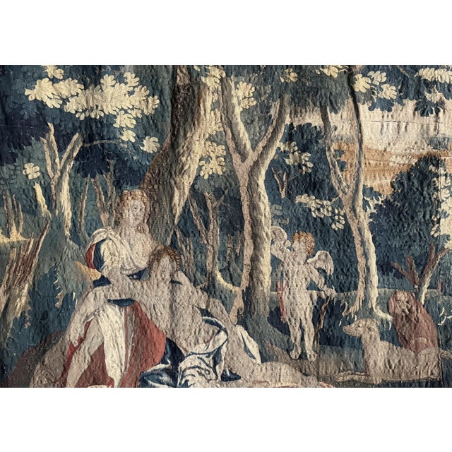 17th Century Adonis Trapestry, England For Sale - Image 13 of 14