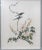 Pair of Matted and Framed 18th Century Chinese Brush Paintings of Birds For Sale - Image 4 of 9