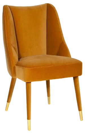 Figueroa Dining Chair by Insidherland