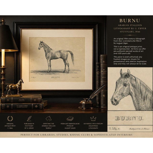 Black August Jäger, Burnu, 1846, Lithograph For Sale - Image 8 of 9