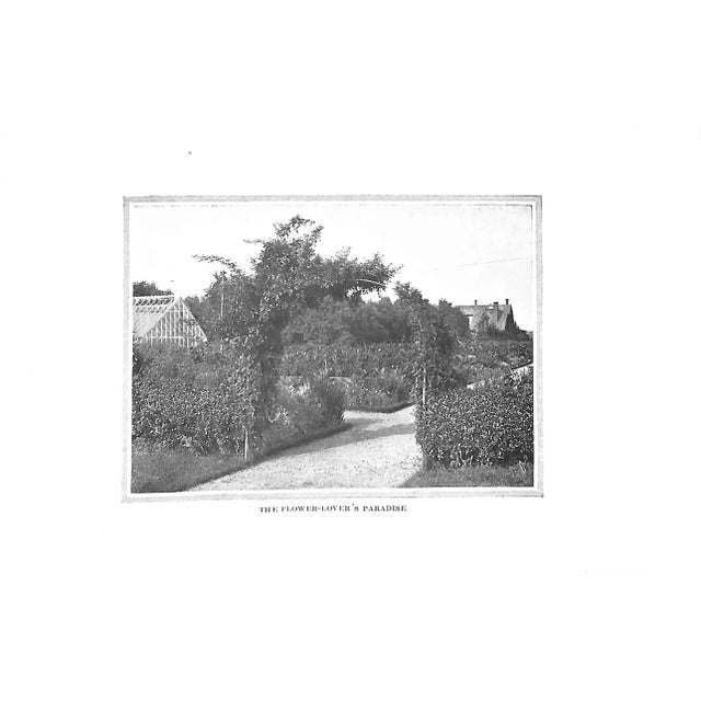 White "Four Seasons in the Garden" Book 1907 Rexford, Eben E. For Sale - Image 8 of 10