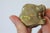 Vintage Brass Elephant Figurines For Sale - Image 9 of 9