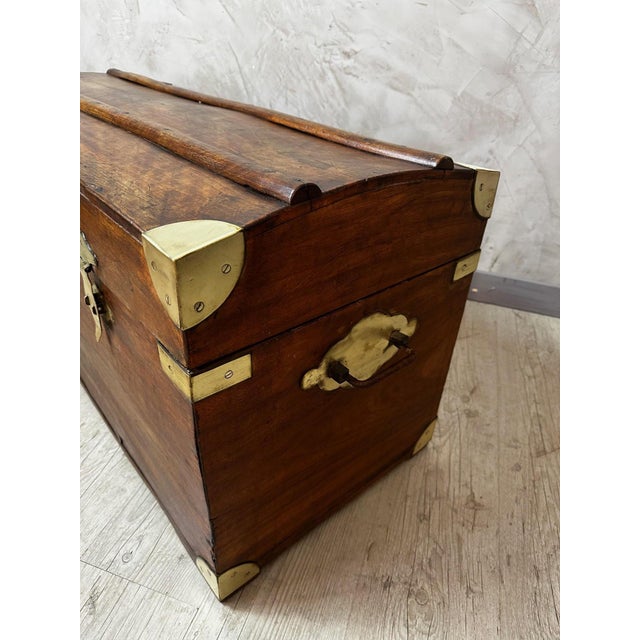 Antique Camphor Wood Chest, 1900 For Sale - Image 3 of 14