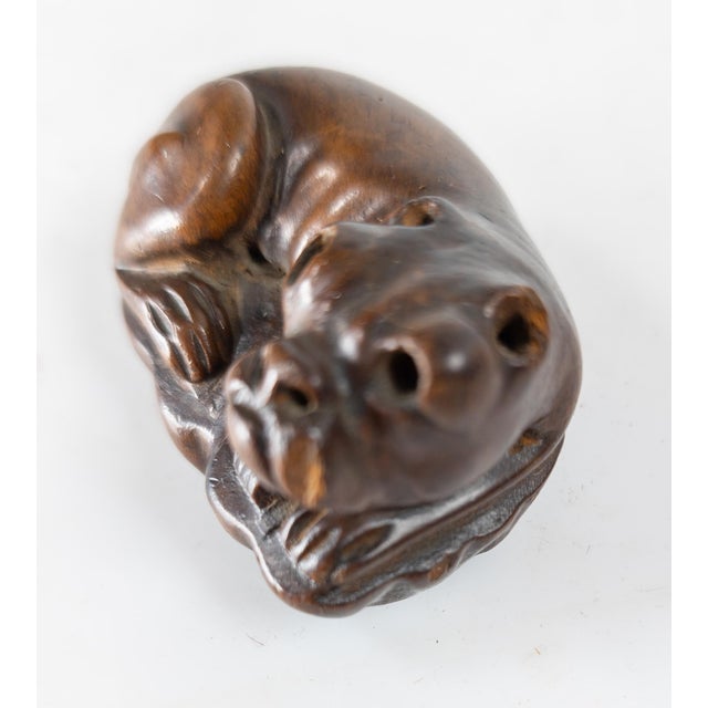Brown 19th Century Carved Bulldog Form Snuff or Scent Box For Sale - Image 8 of 11
