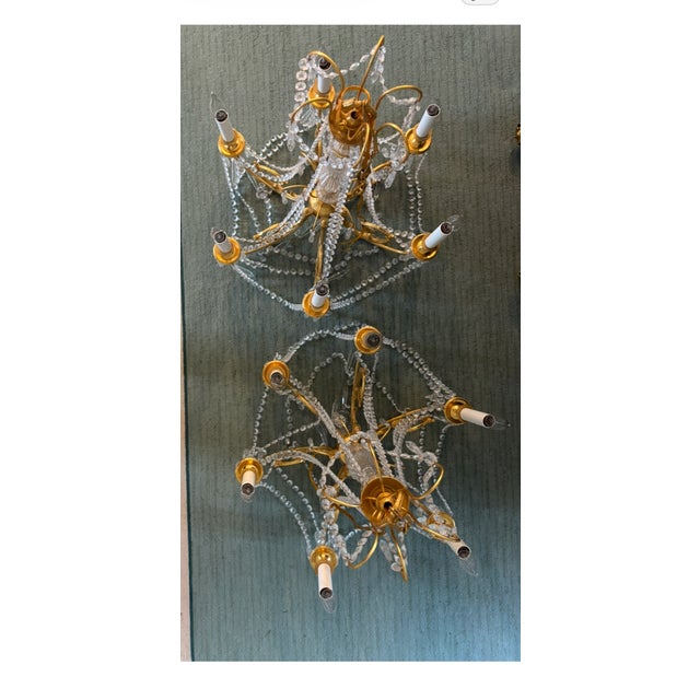 Pair of 6 light French style brass and crystal chandeliers For Sale - Image 9 of 13