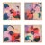 Set of 4 Framed Botanical Photograph Prints — Pop Art Flowers No. 2 For Sale