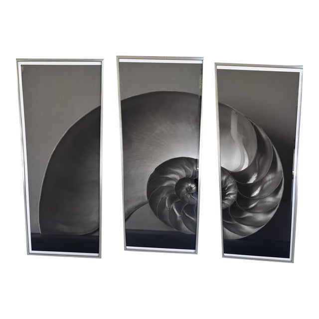 Soicher Marin Nautilus Set of 3 For Sale