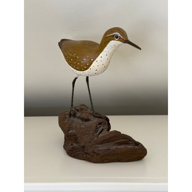 Vintage Hand Carved Sandpiper Shorebird Gus Mirando Nantucket Artist For Sale - Image 14 of 14