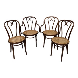 Early 20th Century Thonet Sweetheart-Style Bentwood and Cane Chairs From Zpm Radomsko - Set of 4 For Sale