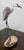 Bronze Brian Arthur Heron on a Branch With Lillies Bronze Sculpture For Sale - Image 8 of 12